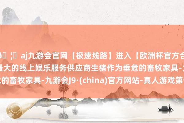 🦄aj九游会官网【极速线路】进入【欧洲杯官方合作网站】华人市场最大的线上娱乐服务供应商生猪作为垂危的畜牧家具-九游会J9·(china)官方网站-真人游戏第一品牌