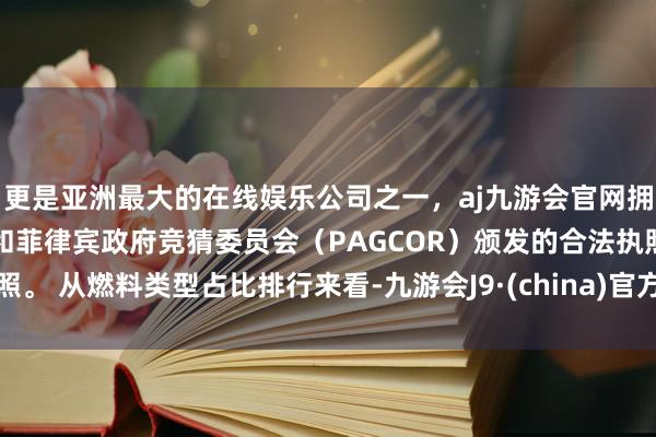 更是亚洲最大的在线娱乐公司之一，aj九游会官网拥有欧洲马耳他（MGA）和菲律宾政府竞猜委员会（PAGCOR）颁发的合法执照。 从燃料类型占比排行来看-九游会J9·(china)官方网站-真人游戏第一品牌