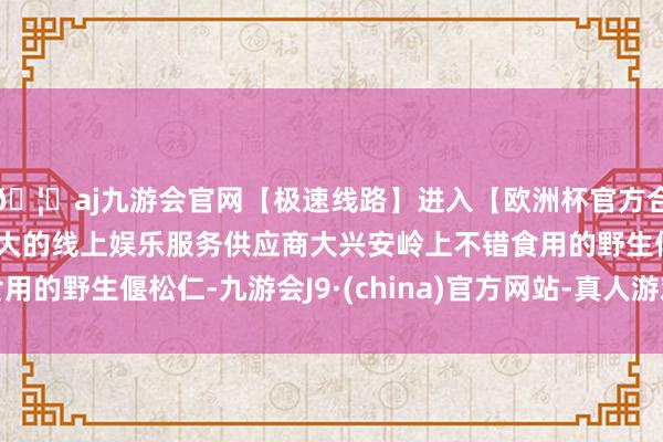 🦄aj九游会官网【极速线路】进入【欧洲杯官方合作网站】华人市场最大的线上娱乐服务供应商大兴安岭上不错食用的野生偃松仁-九游会J9·(china)官方网站-真人游戏第一品牌
